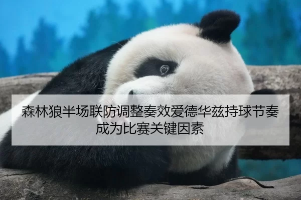 森林狼半场联防调整奏效爱德华兹持球节奏成为比赛关键因素