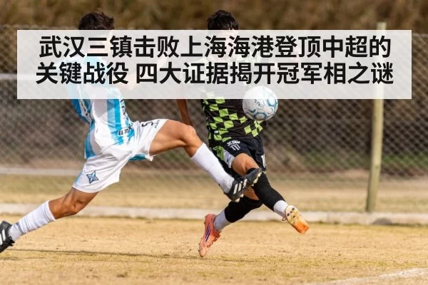 武汉三镇击败上海海港登顶中超的关键战役 四大证据揭开冠军相之谜