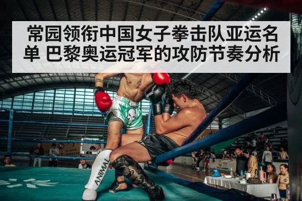 boxing ring corner fight